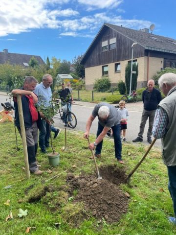 0c2392a1-2da1-46c1-93df-1d6e959f3d90