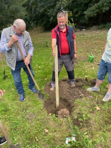 36d1a0ed-8a29-4aca-843f-55311b9c9d72