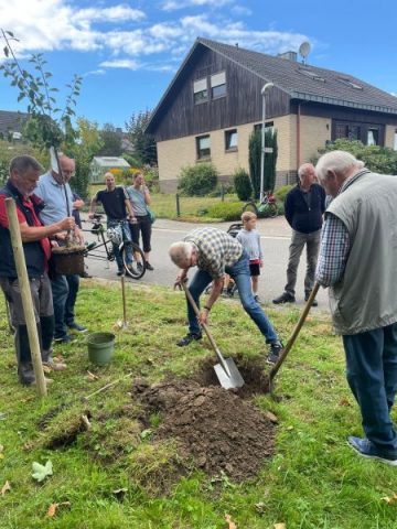 82fcfca2-6e9c-40c0-938c-921bbd00866b 1